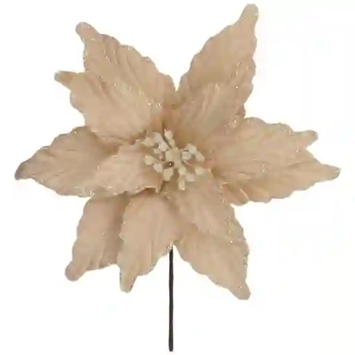 Poinsetia Decorativa