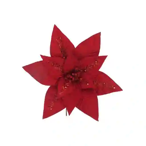 Poinsetia Decorativa