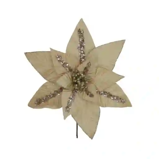 Poinsetia Decorativa