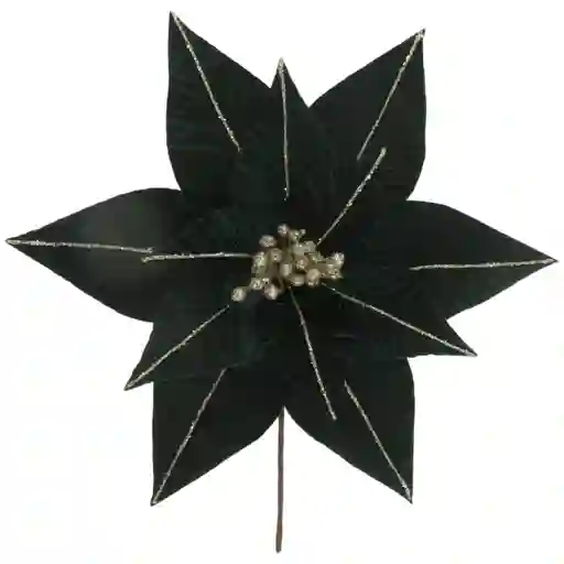 Poinsetia Decorativa