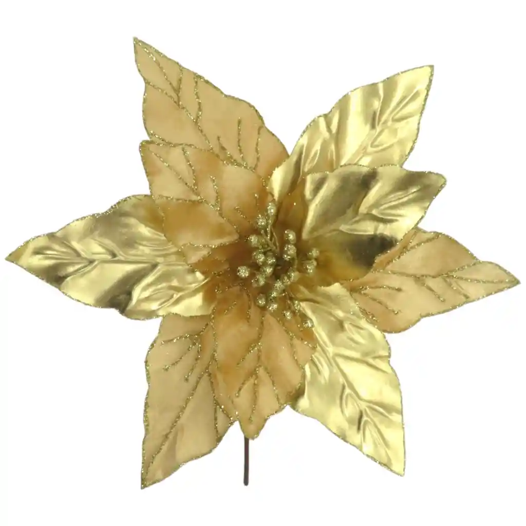 Poinsetia Decorativa