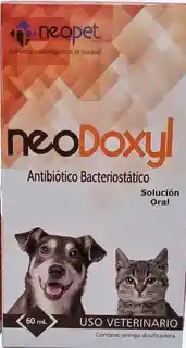 Neodoxyl Solucion Oral X 60ml