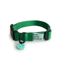 Collar Para Perro Talla S Unicolor Adorable Verde Nacional