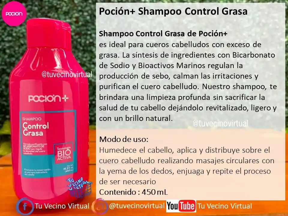 Shampoo Control Grasa Y Tratamiento Acondicionador De Reparación La Pocion