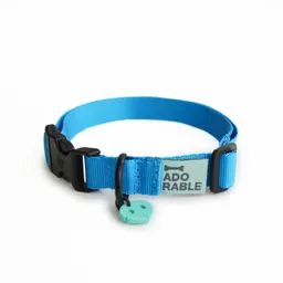 Collar Para Perro Talla S Unicolor Adorable Azul Conquistador