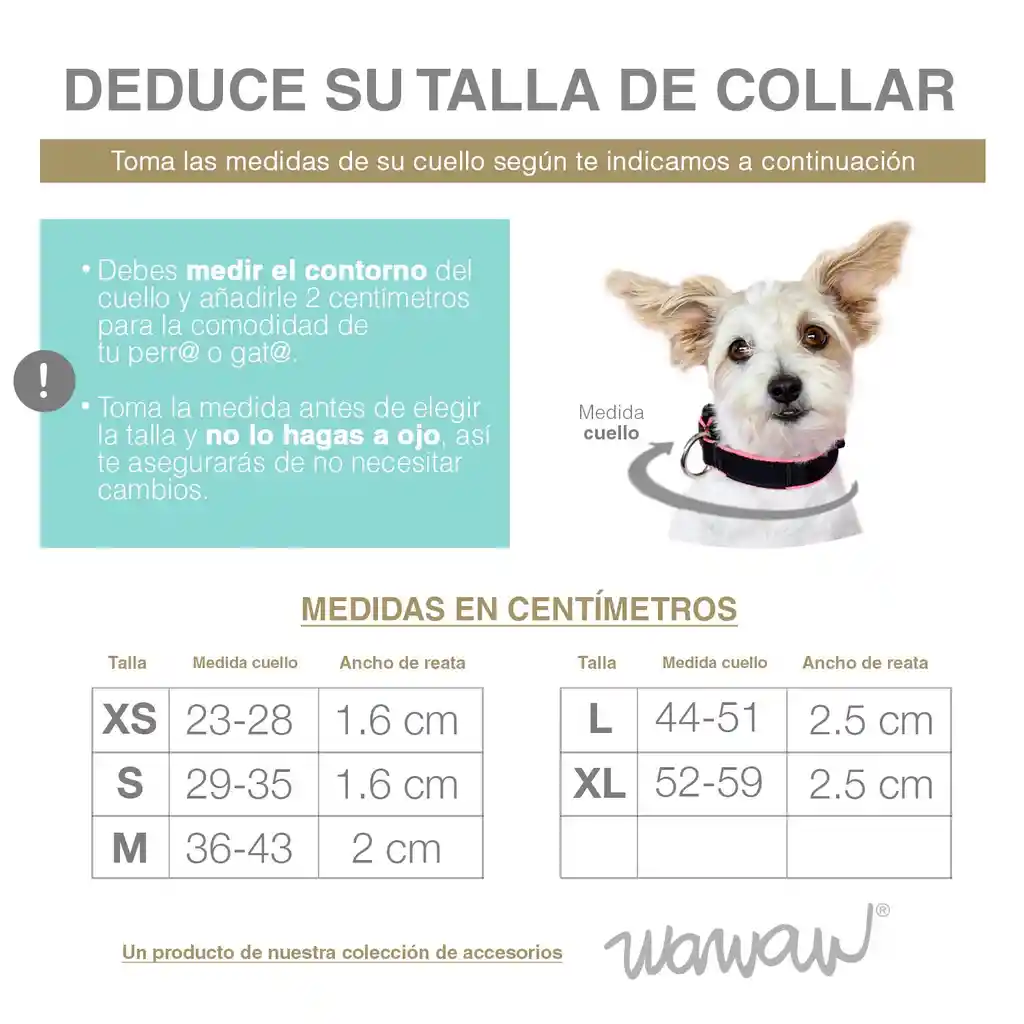 Collar Para Perro Talla L Unicolor Adorable Azul Conquistador