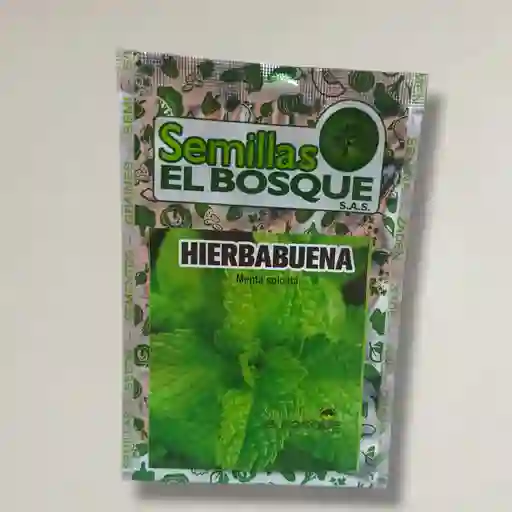 Semillas Del Bosque Hierbabuena