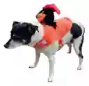 Disfraz Para Mascota Jinete Sin Cabeza
