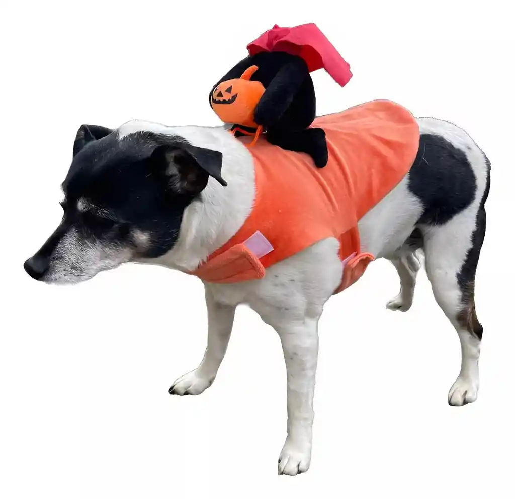 Disfraz Para Mascota Jinete Sin Cabeza