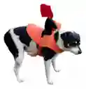 Disfraz Para Mascota Jinete Sin Cabeza