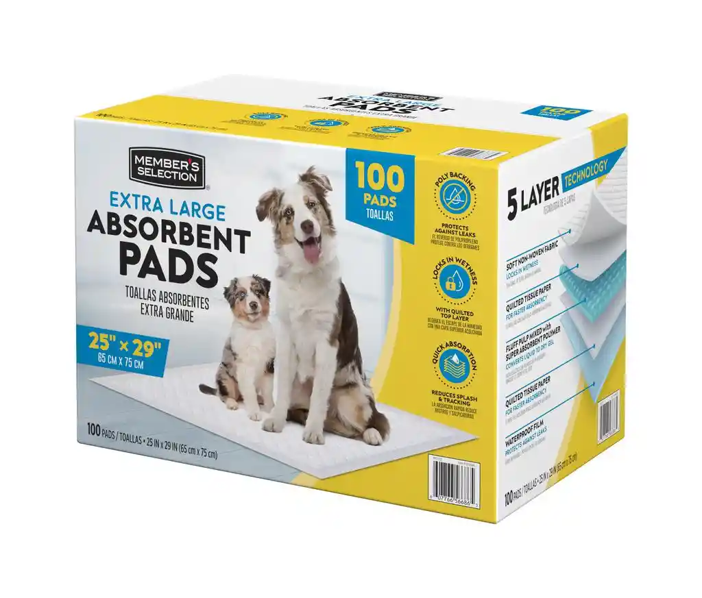 Tapete Absorbente Para Perros X 100 Uds 65 X 75 Cm Pañales Para Perros Pañales Para Mascotas Pañales Perros