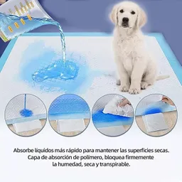 Tapetes Para Perros X 50 Uds 65 X 75 Cm Pañales Para Perros Pañales Para Mascotas Pañales Perros X 50 Uds