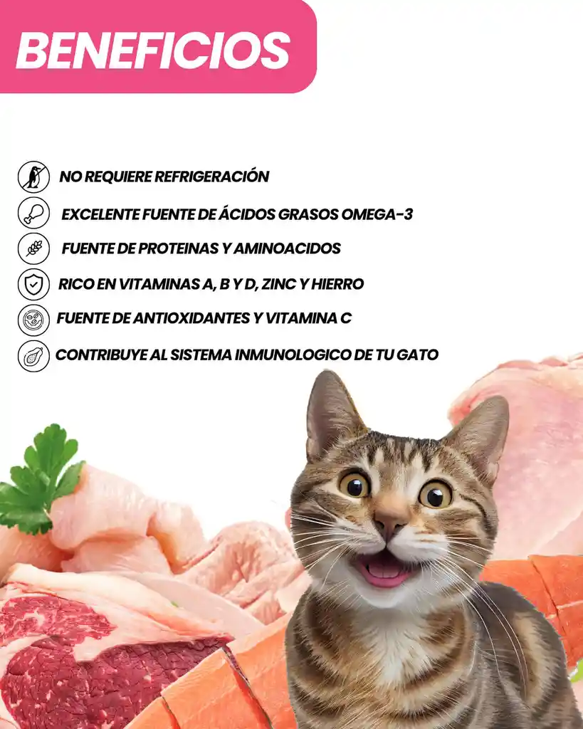 Barf Gatos 500 Gr Salmon Pollo Y Ternera Barf Cat Dieta Para Gatos