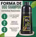 Shampoo Cubre Canas Color Negro