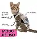 Faja Para Gatos Post Quirurgicas Talla M Peso 3.2 A 5 Kg