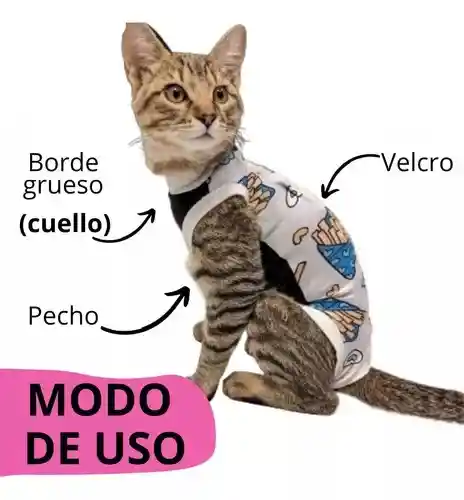 Faja Para Gatos Post Quirurgicas Talla M Peso 3.2 A 5 Kg