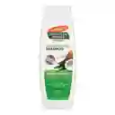 Palmers Shampoo Aceite De Coco 400ml