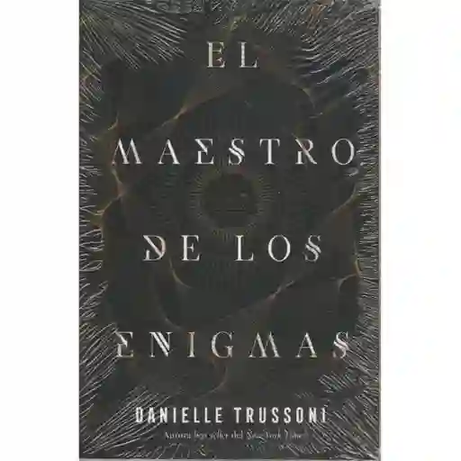 El Maestro De Los Enigmas