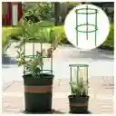 Soporte Plantas Enrredaderas Matas Rosas Orquideas Cultivo