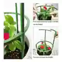 Soporte Plantas Enrredaderas Matas Rosas Orquideas Cultivo