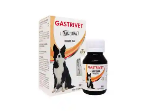 Gastrivet X 60 Ml - Famotidina