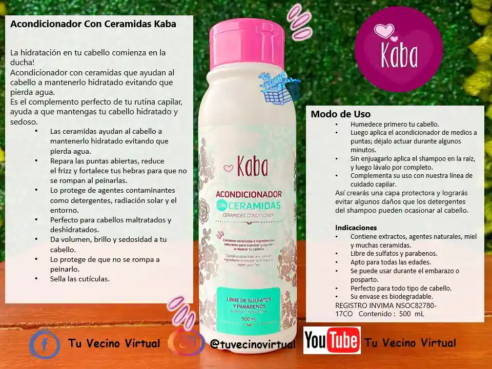 Shampoo De Cebolla, Acondicionador, Tratamiento Repolarizador Y Revitalizante Kaba