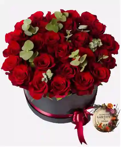 Caja De Rosas Rojas Circulo De Amor