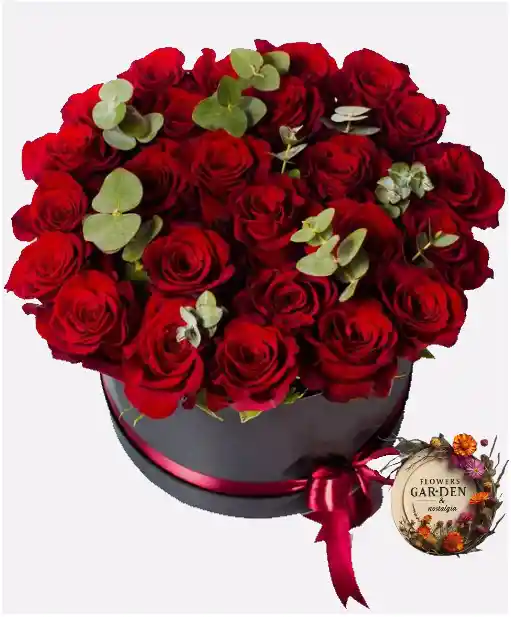 Caja De Rosas Rojas Circulo De Amor