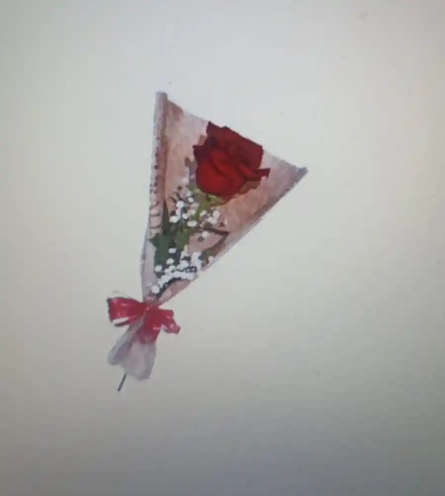 Rosa Amor