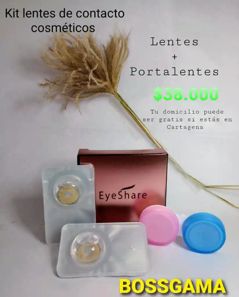 Lentes De Contacto Cosméticos King Gray