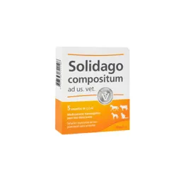 Solidago Ampolleta 2.2 Ml