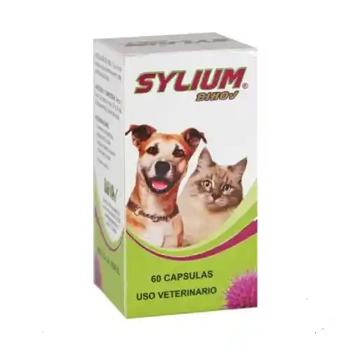 Sylium 60 Capsulas