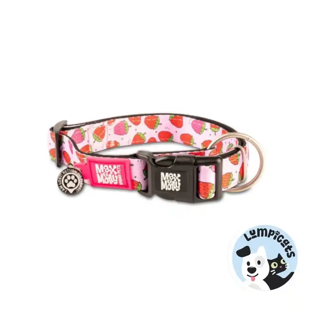 Max Molly Original Collar Perro Large