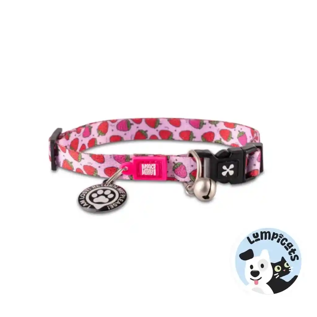 Max Molly Original Collar Gato