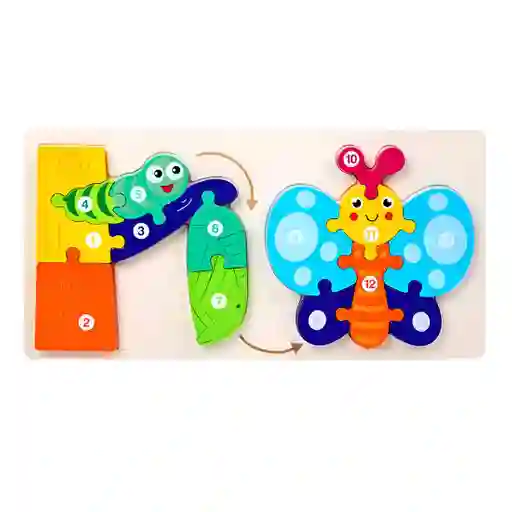 Rompecabezas Evolucion Mariposa 3d Juego Didactico Colores