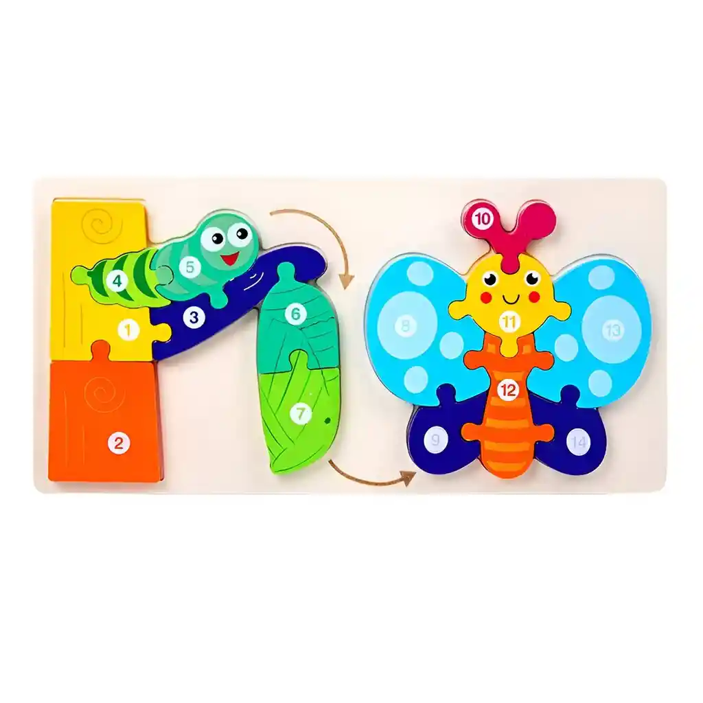 Rompecabezas Evolucion Mariposa 3d Juego Didactico Colores