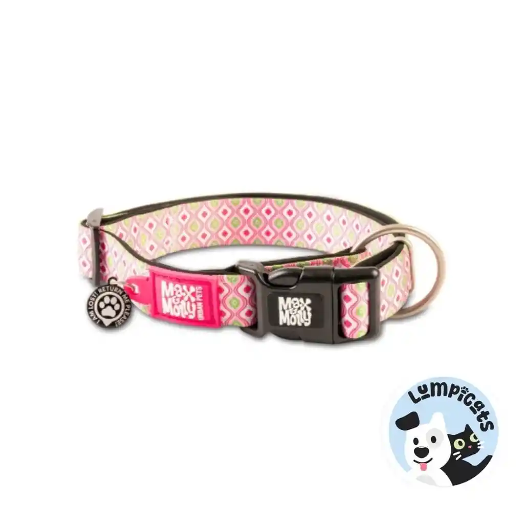 Max Molly Original Retro Pink Collar Perro Large