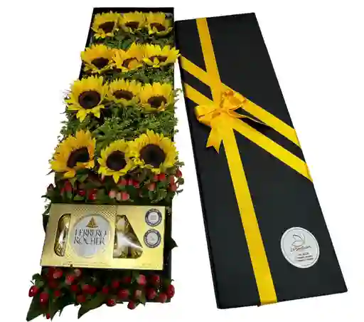 Caja Girasoles