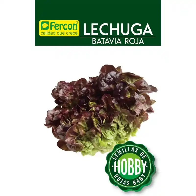 Lechuga Batavia Roja Semillas