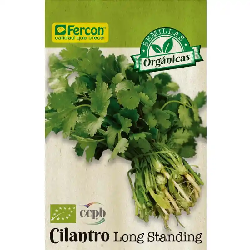 Cilantro Long Stan Bio Sobre X 3 Gr