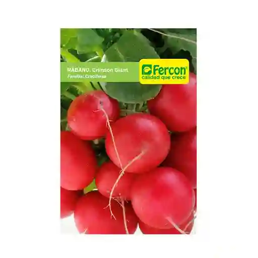 Semilla De Rabano Crimpson Giant X 2 Gr