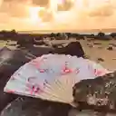Abanico Langostas