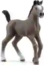 Figura Animales Potro Andaluz Pintada A Mano Schleich