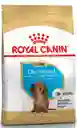 Royal Canin Dachshund Teckel Puppy*1.13kg