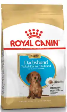 Royal Canin Dachshund Teckel Puppy*1.13kg