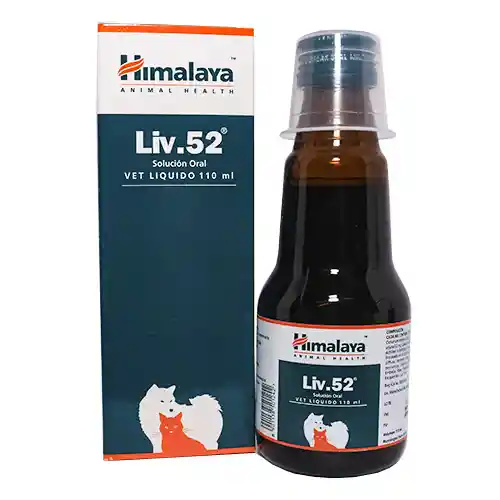 Liv 52 Himalaya X 110ml