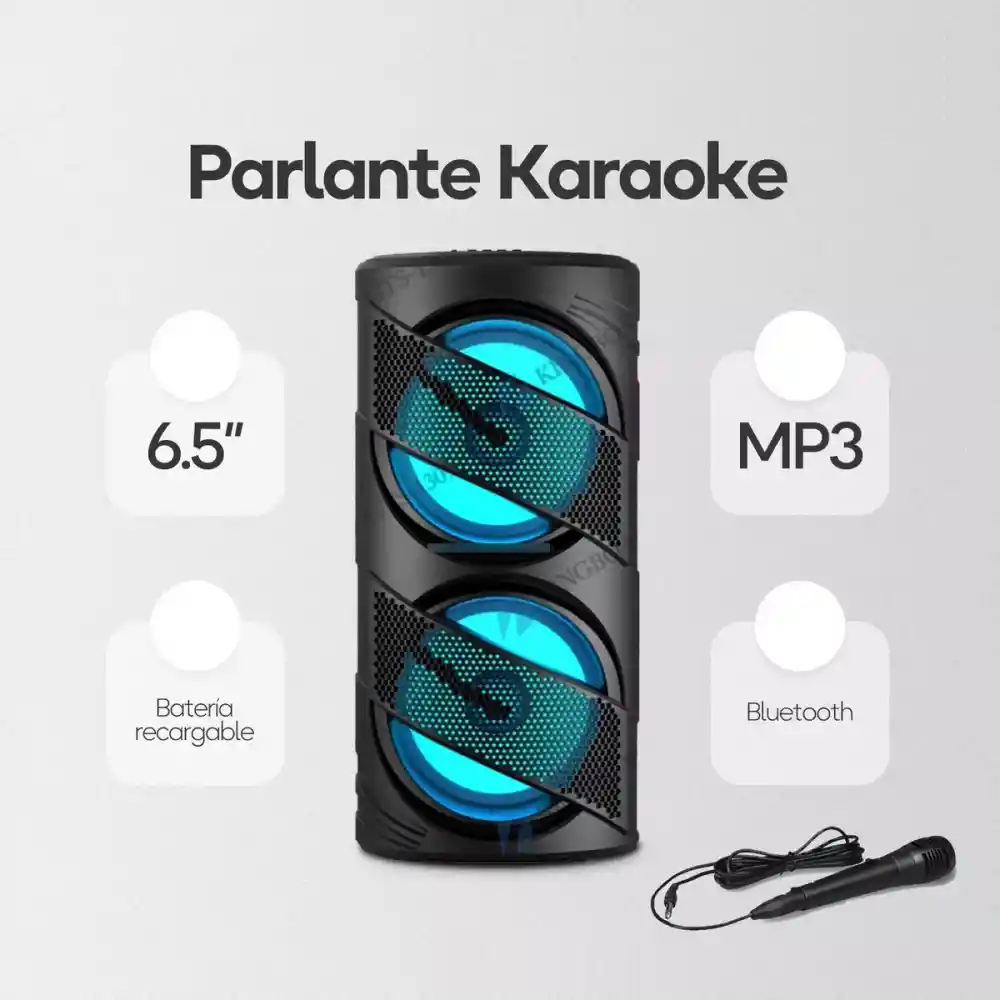 Parlante Portátil Bluetooth Karaoke 6.5inch Micrófono Fm Usb