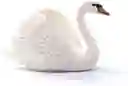 Figura Coleccionable Animales Cisne Pintada A Mano Schleich