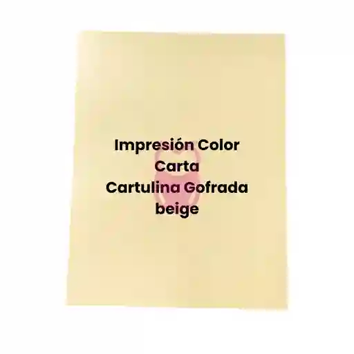 Impresión En Papel Gofrado Envejecido Und Color