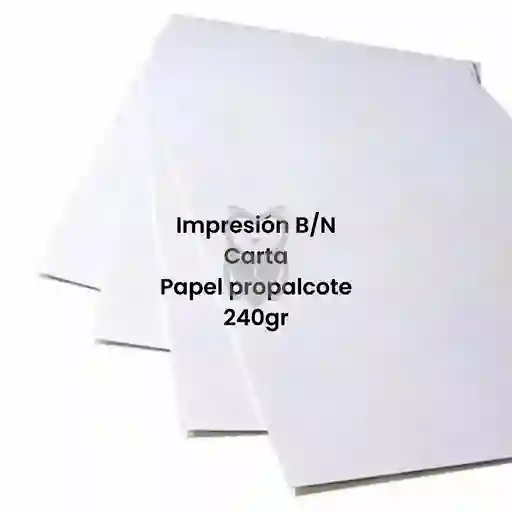 Impresión A Blanco Y Negro Papel Propalcote 300gr